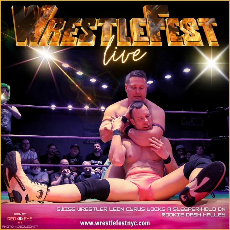 Halley sure looks comfy