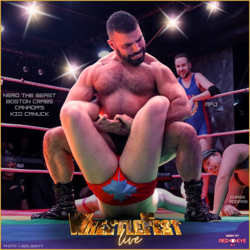 Boston crabbed by the beast